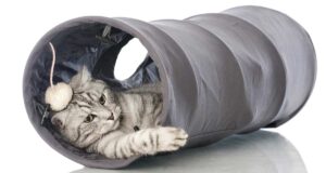 خرید تونل های بازی گربه قیمت ارزان