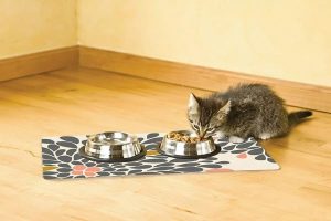 ظرف آب و غذا سگ و گربه جنس استیل - ایران پت فود