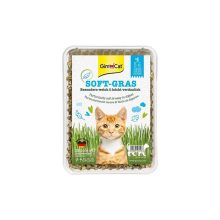 علف گربه جیمکت مدل(Gimcat Soft Grass)