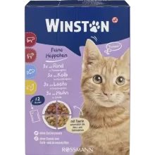 پوچ گربه وینستون (Winston Cat Pouch)